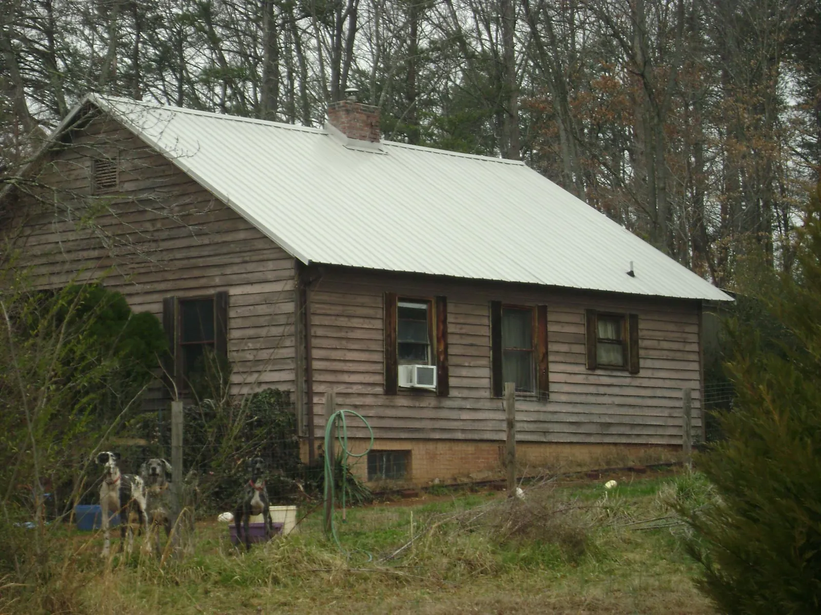 White metal roof on an old wood sided farmhouse, from a Asphalt Shingle Roof Repair job in Smartsville